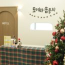 대구애견미용 모여라솜뭉치 이미지