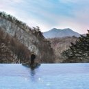 포레스트리솜 이미지