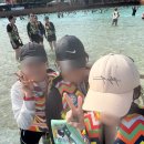 선인국제중학교 | 2025.07