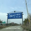 운악홀리데이 | [포천] 경기도 5성급 캠핑장 추천! 포천 캠프운악