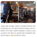 호진E(구 호진3) | 피티,율하PT] 수능 끝! 율하PT 고민된다면? 작년 수험생 후기만 봐도 답 나옵니다 (404피트니스 율하점)