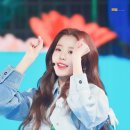 셀몽