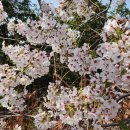 대발령 1쉼터 이미지