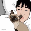 오빠막창기장점 | 결혼 2년차 부부의 7월 일상, 새 차사고 그리고 개인회생 면책까지