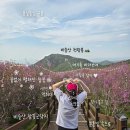 대구공공시설관리공단시내버스유개승강장 | 대구 비슬산 걸어서 등산 후기 / 참꽃은 졌어도 장관인 돌산 풍경, 하산 셔틀버스 정보