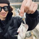데바컴퍼니