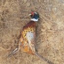 덕일슈퍼 이미지