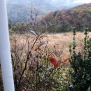 산척면사무소 이미지