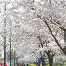 장수천 이미지