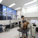 디어포우 이미지