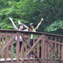 덕산계곡진입로 이미지