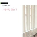 월간비건