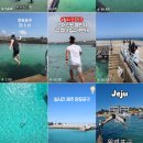 이재명 정부, 한국, 해안 항구에서 수영 금지 조치 시행 예정 이미지
