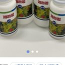킹엔퀸 이미지