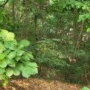 동진원1근린공원 이미지