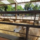 양평모아치과 네이버블로그