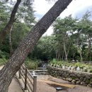 나드리김밥천국 선산점 이미지