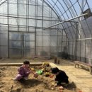 용인농장 이미지