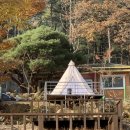 깊이울 달빛 캠핑장 이미지