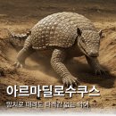 아다만 | 골갑으로 방어한 중생대 악어 진짜 존재했을까?