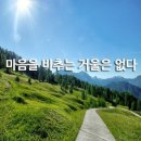 마음을 비추는 거울은 없다. 이미지