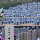 [Newsmaker] War veteran buried alongside his men 이미지