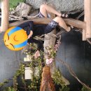 아란 농장 이미지