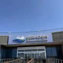 신두리 | 태안 아이랑 가볼만한 곳, 신두리 사구센터 체험 &amp; 전망대 솔직후기