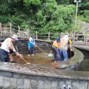 소남머리 이미지