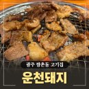 광주057 | 쌍촌동고기집 숯불 돼지갈비 맛집 '운천돼지'