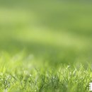 종교단체 자연장지 이미지