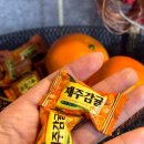 제주옥탑모란점