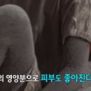 초록미소마을 이미지