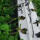 오수농장 이미지