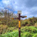 팔조령목장 이미지