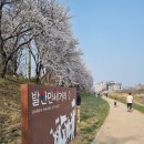 향남2교 - 314 | [제주 도야지 판 향남점]향남 회식 장소/ 향남 맛집♡