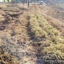 눌왕리농장 이미지