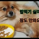녹번동 48-5 이미지