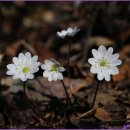 이세한의원 이미지