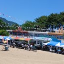 안미초등학교 Daum카페