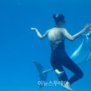 씨월드 이미지