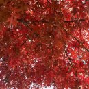 뽑아봐U | 띄어쓰기를하지않는이유는너를향한내마음이빽빽해서야