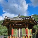 광천사랑숲경로당 | 강원도 가볼 만한 곳 친구와 함께한 평창 백일홍 축제