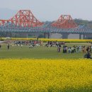 서울양화