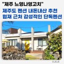 느영나영고치 이미지