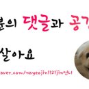 해맑은동물병원 이미지