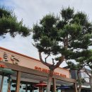 수목농장 이미지