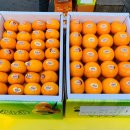 성산청과 이미지