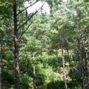 신의한수농장 이미지