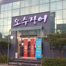 오수장어 이미지